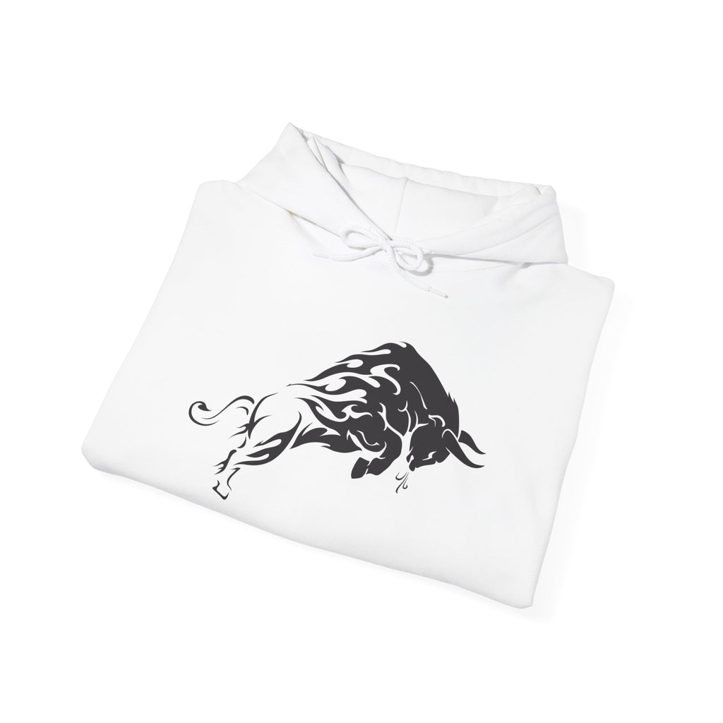 Hoodie : Need Money For Funded